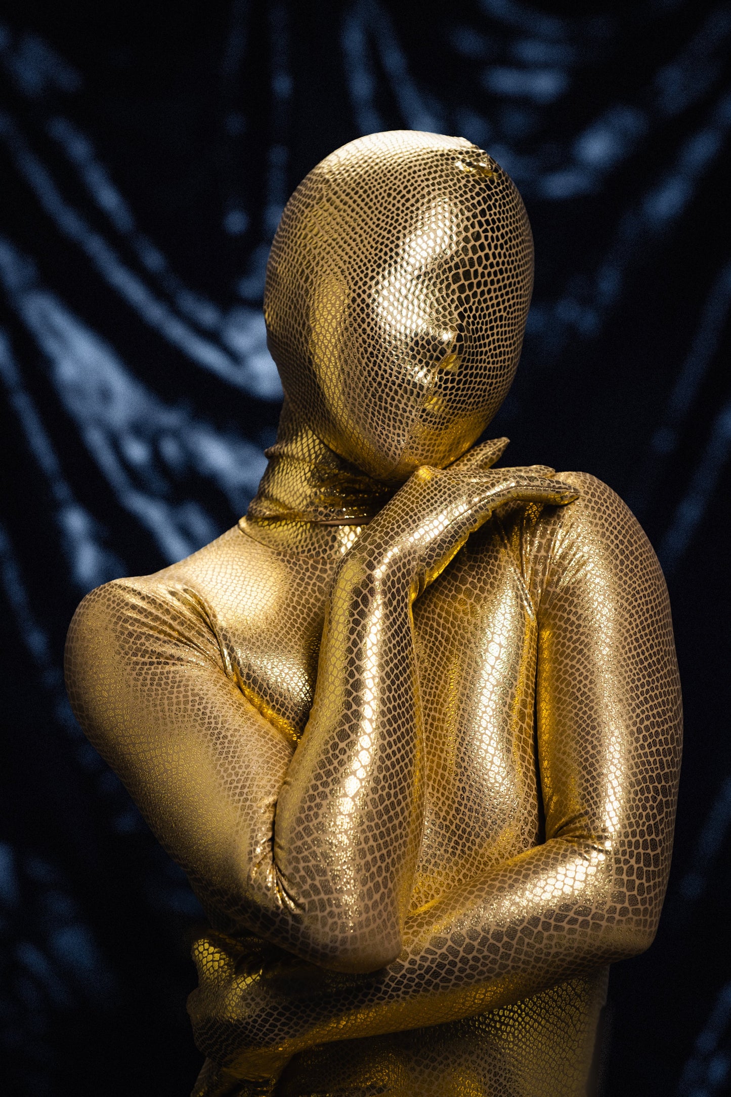 Krait - Gold