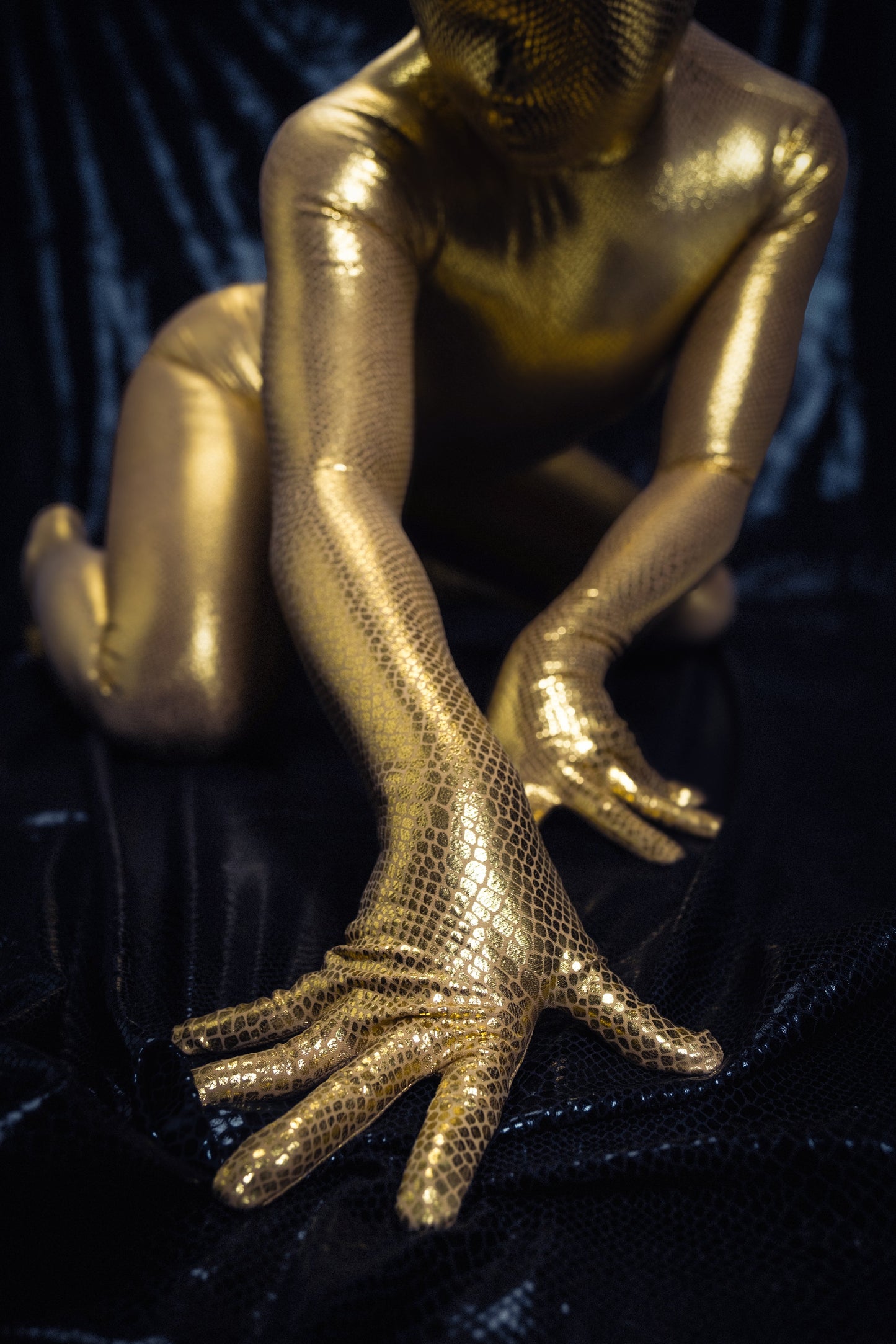 Krait - Gold