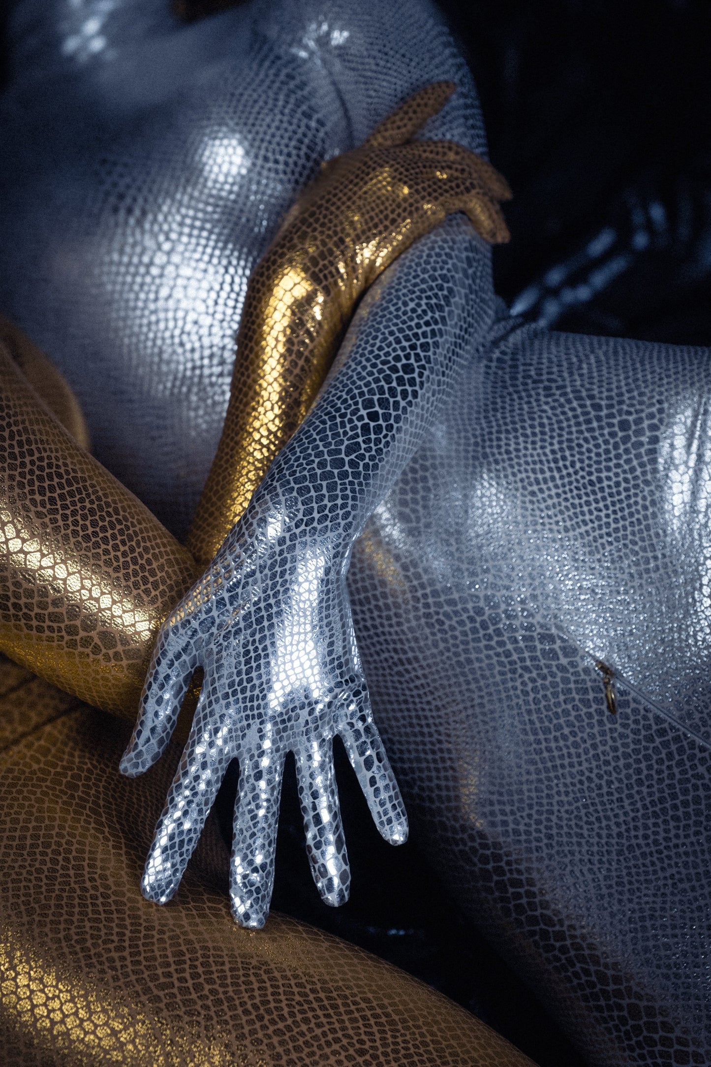 Krait - Gold