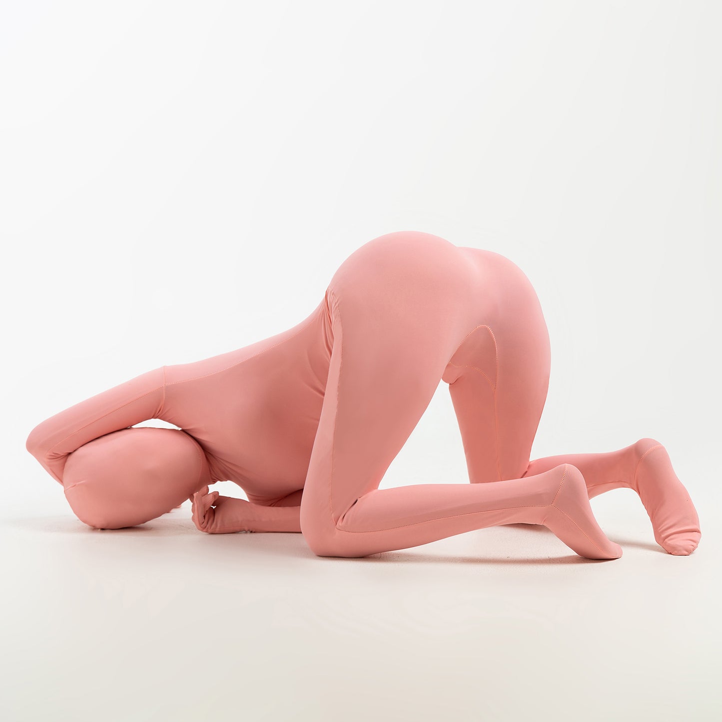 Lulu - New Born Orange