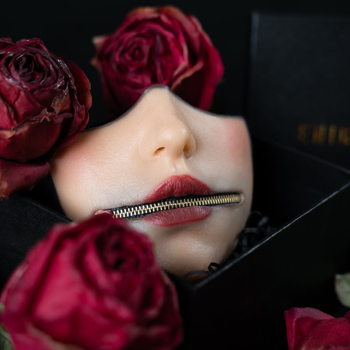 Zipper Bondage Enigmaske